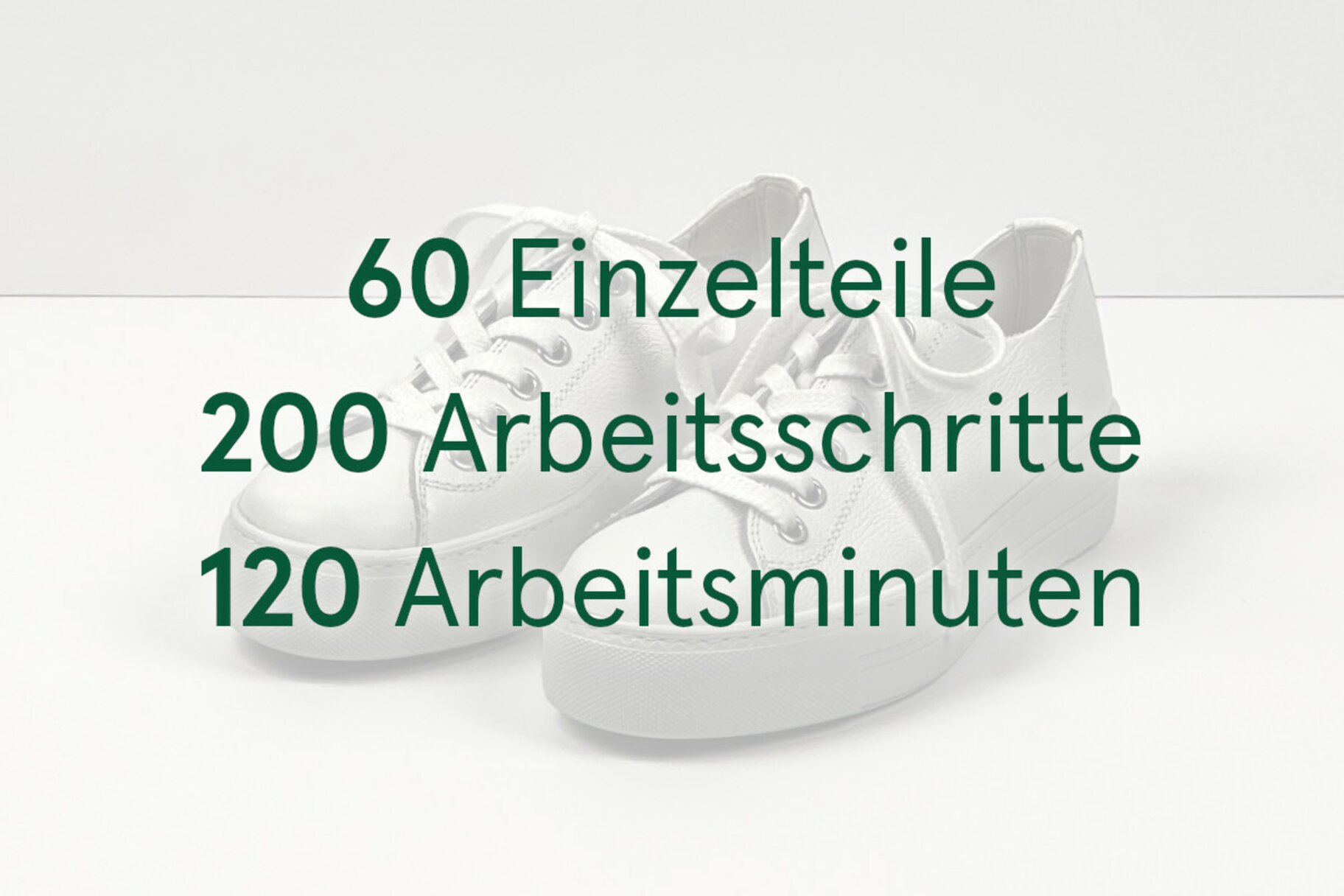 wie sieht ein schuh für ein charcot-fuß aus